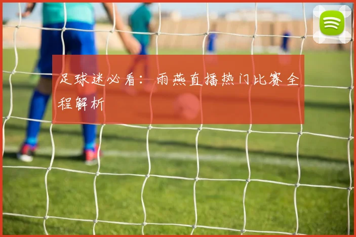 足球迷必看：雨燕直播热门比赛全程解析