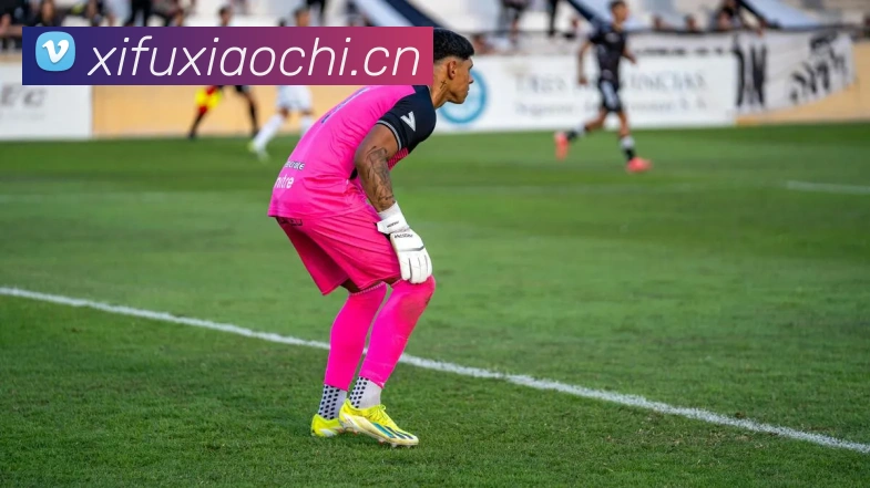 巅峰国标pg官网入口平台生态图